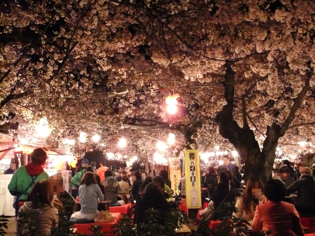 お花見 宴会