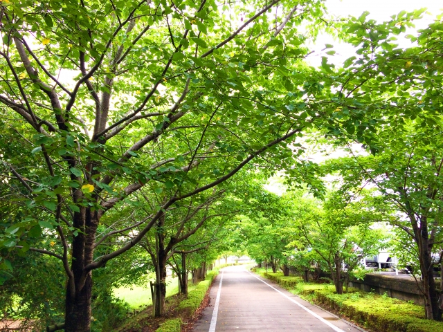 歩く健康効果